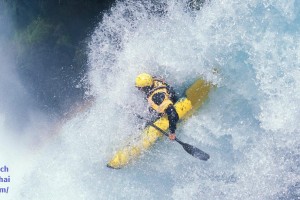 现场直击，没事，这个周末我不介意成为科比