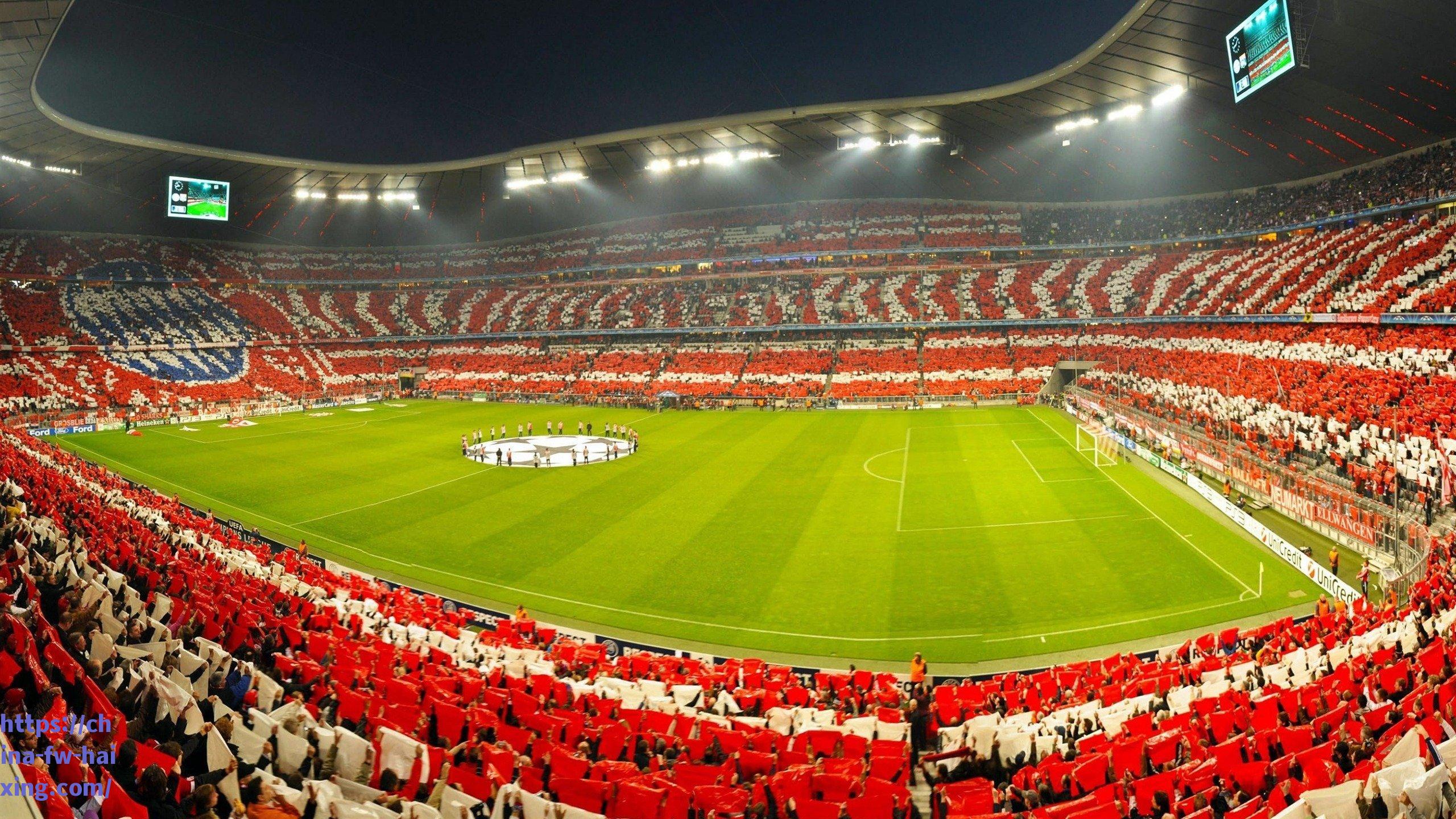 马德里奇迹,伤病阴影下的不屈传奇