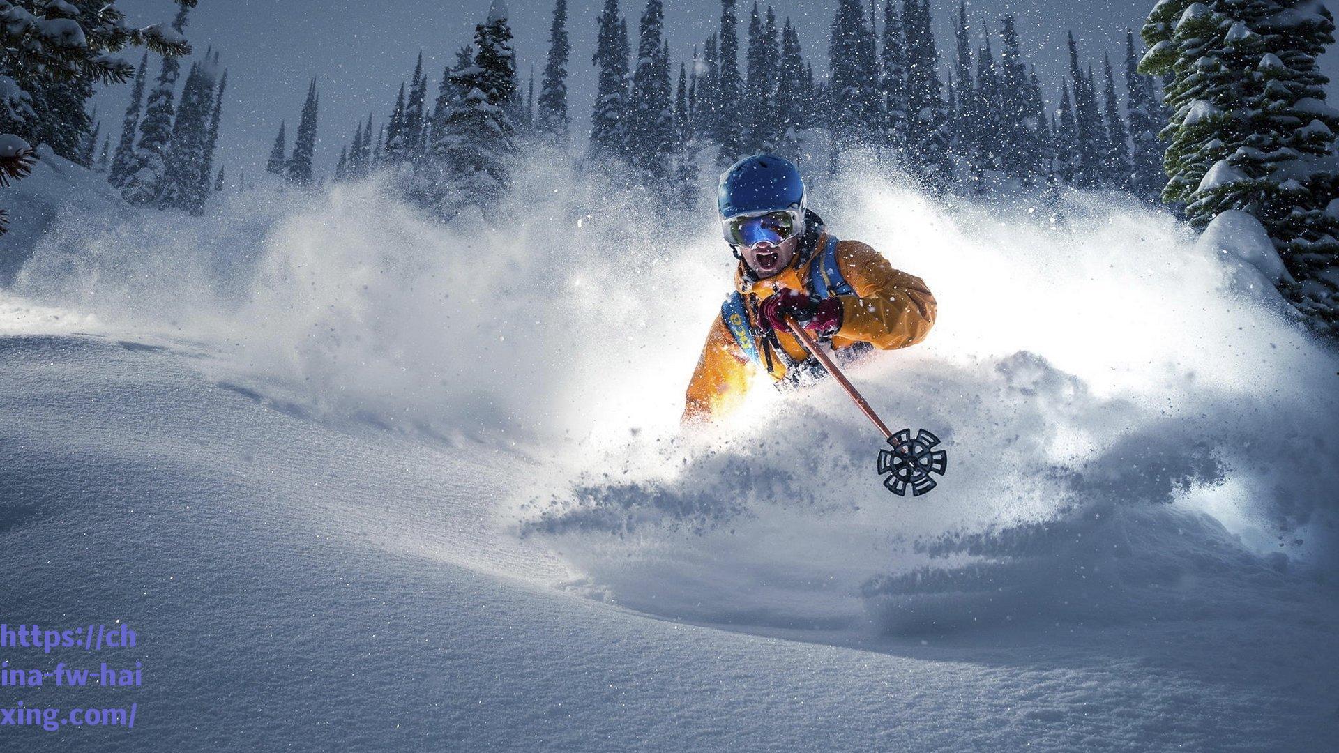 黑蓝之心，二十九载忠诚铸就绿茵传奇，信仰之色彩永不褪色